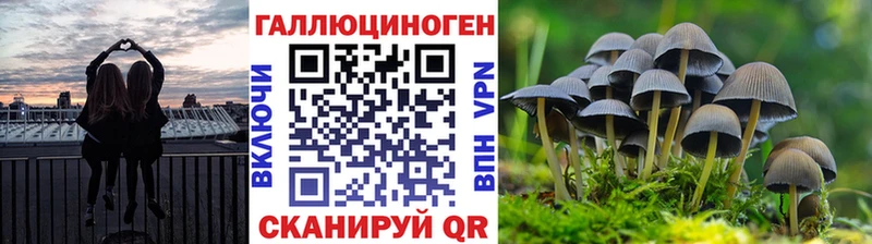 Галлюциногенные грибы Psilocybine cubensis  Волчанск 